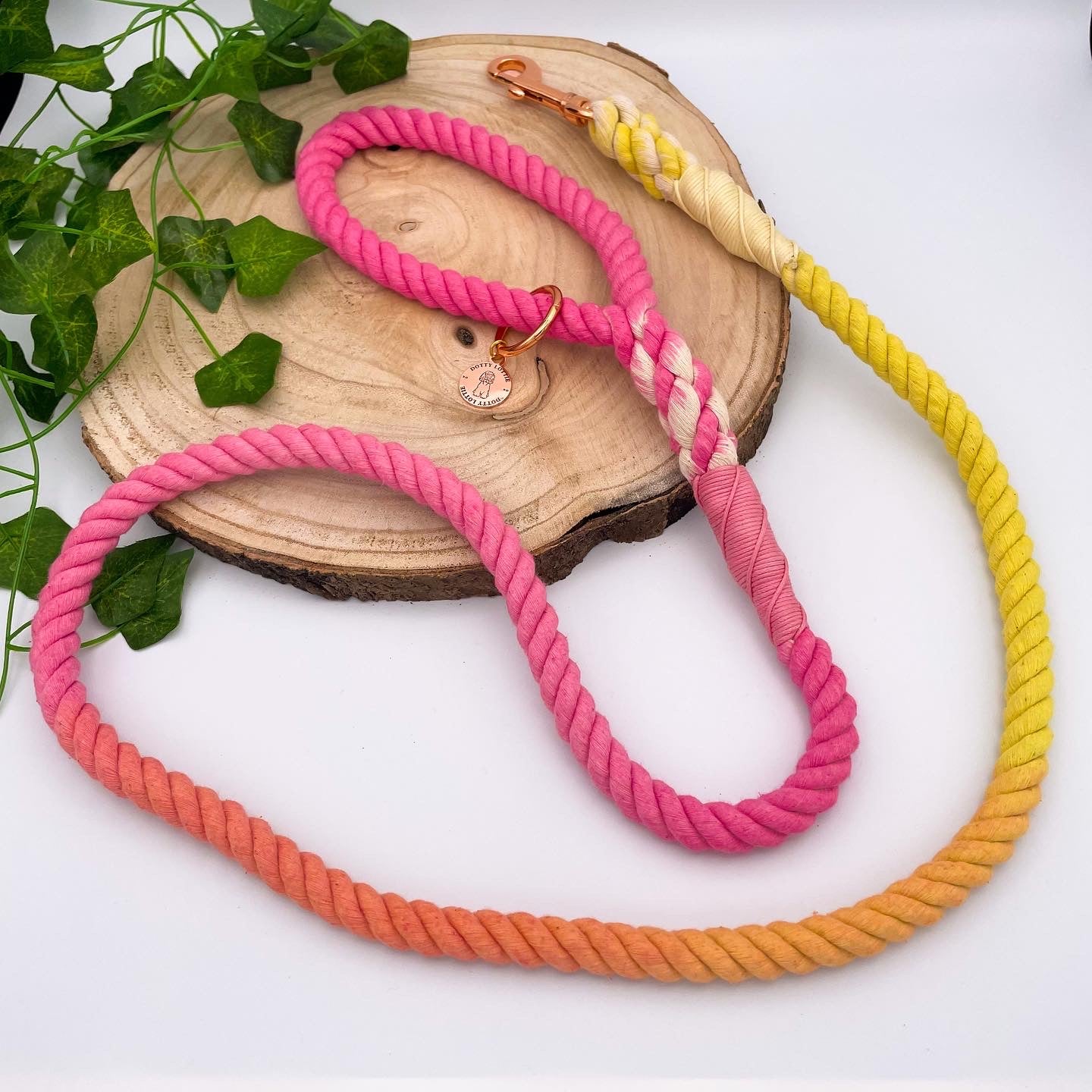 Dotty Lottie - Rhubarb and Custard Rope Lead - info-0712