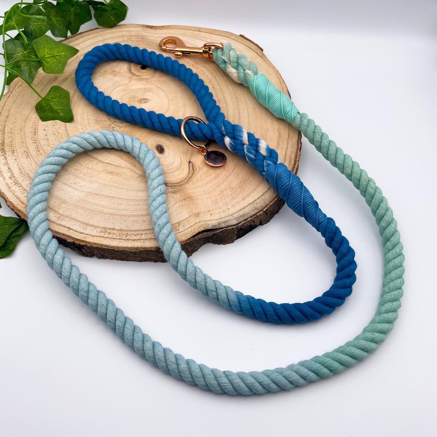 Dotty Lottie - Ocean Breeze Rope Lead - info-0712