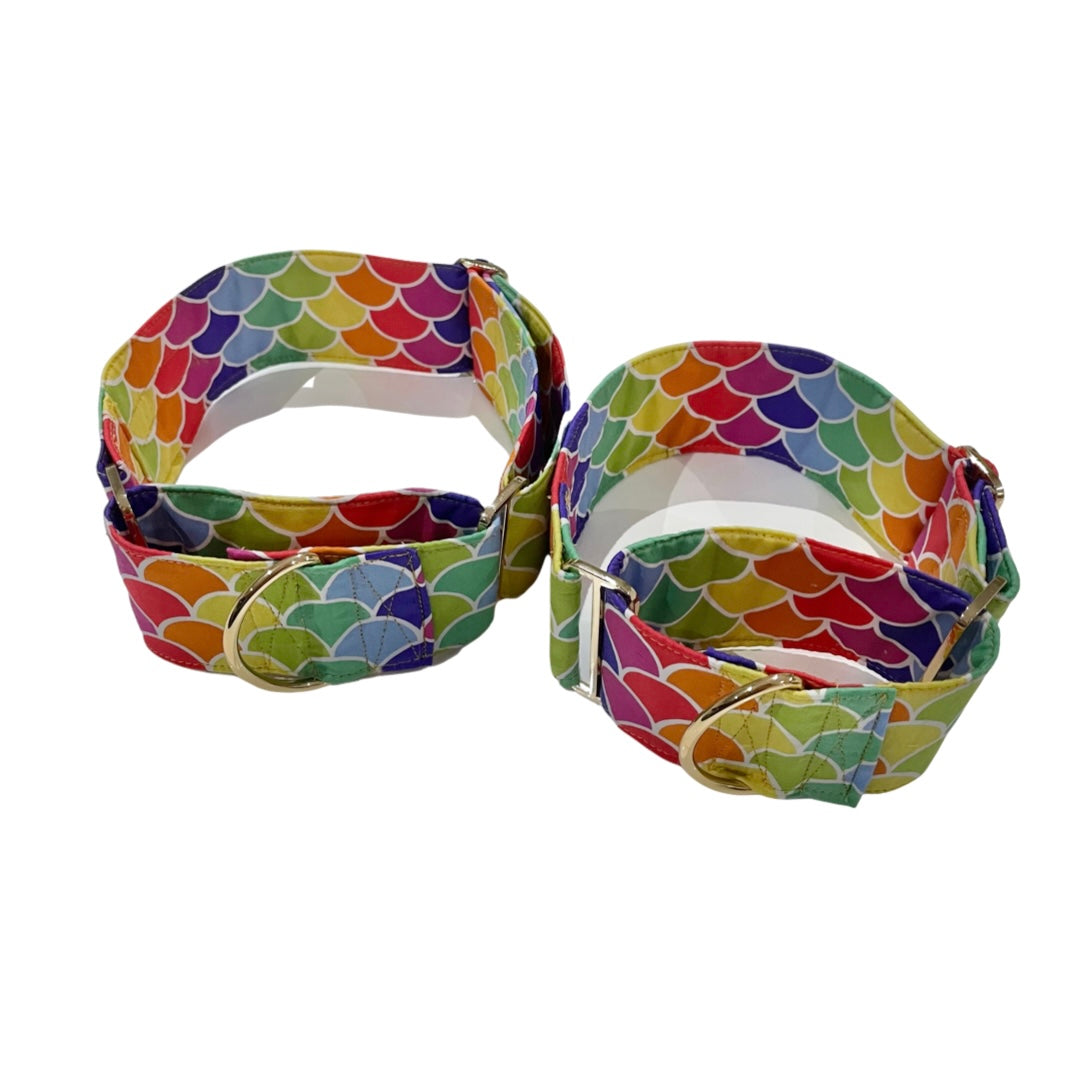 Carnival Martingale Dog Collar: 5cm wide - info-0712