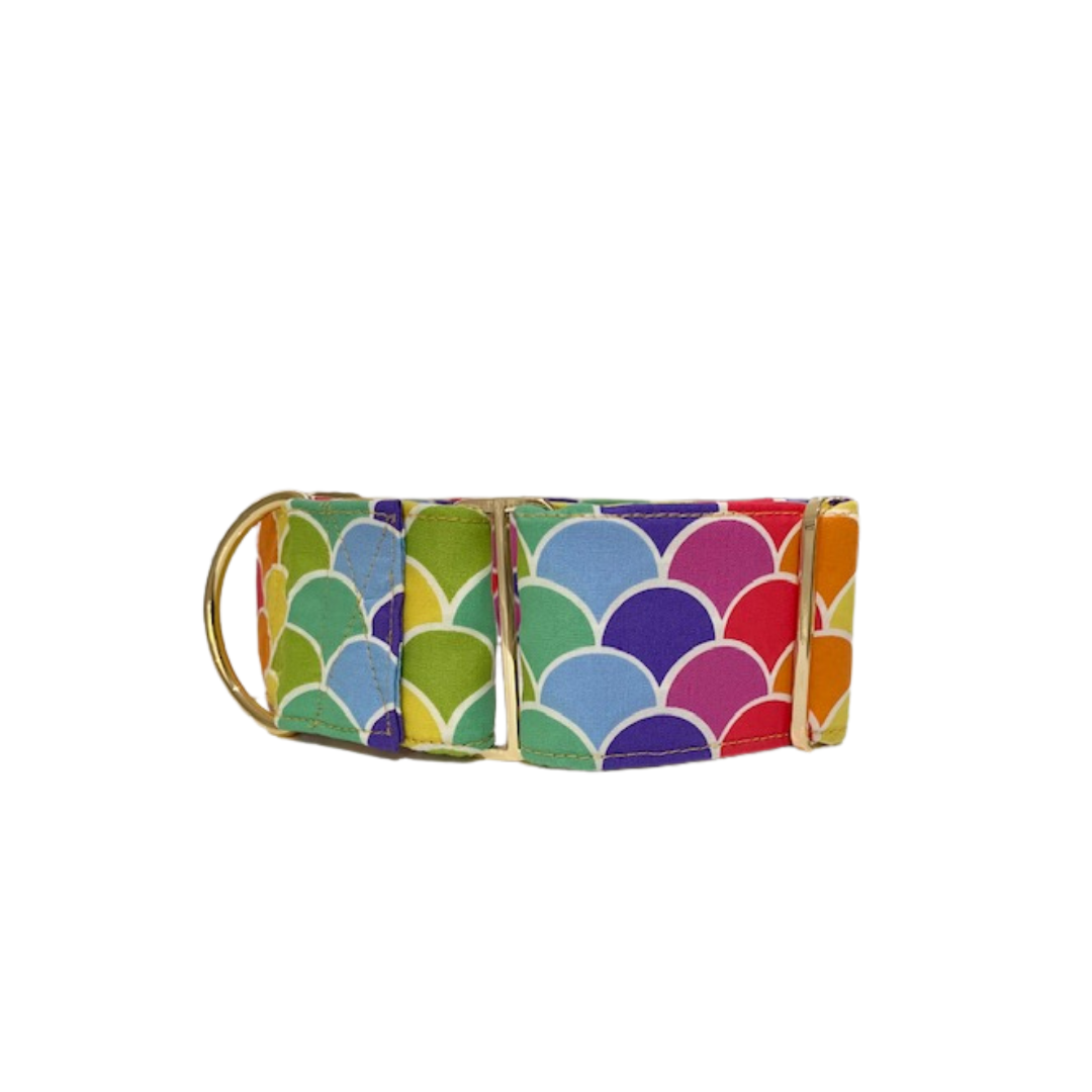 Greyhound Martingale Collar, Whippet Martingale Collar, 5cm Martingale Collar, Rainbow Martingale Collar, Pet Store Near me