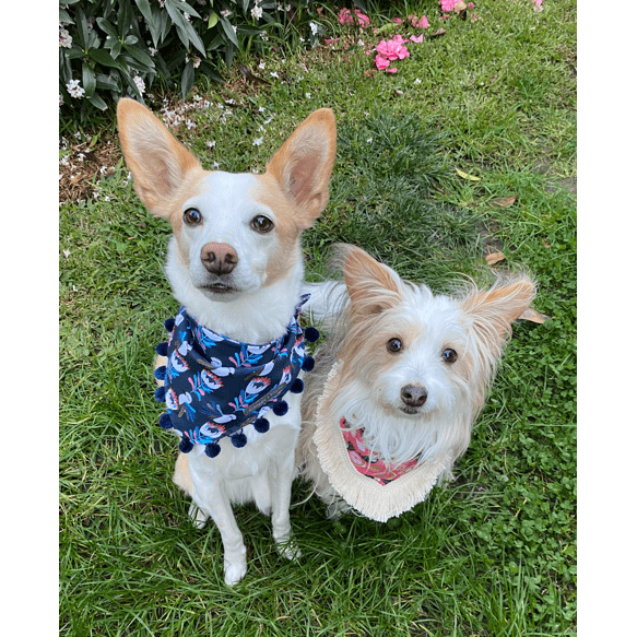 Kookaburra Bandana with Fringe - info-0712
