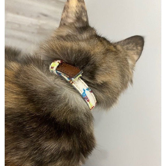 Summer Stripe Cat Collar - info-0712