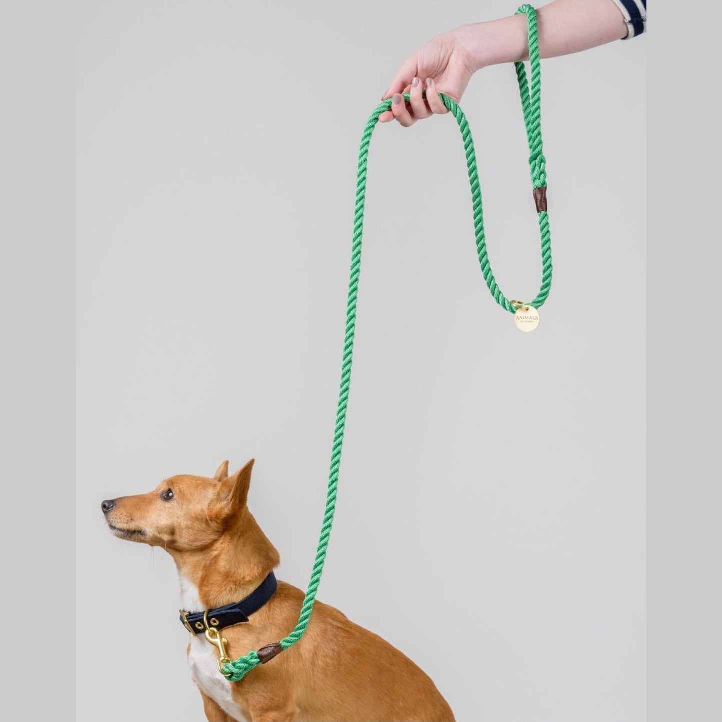 Rope Lead: Leafy Green - info-0712