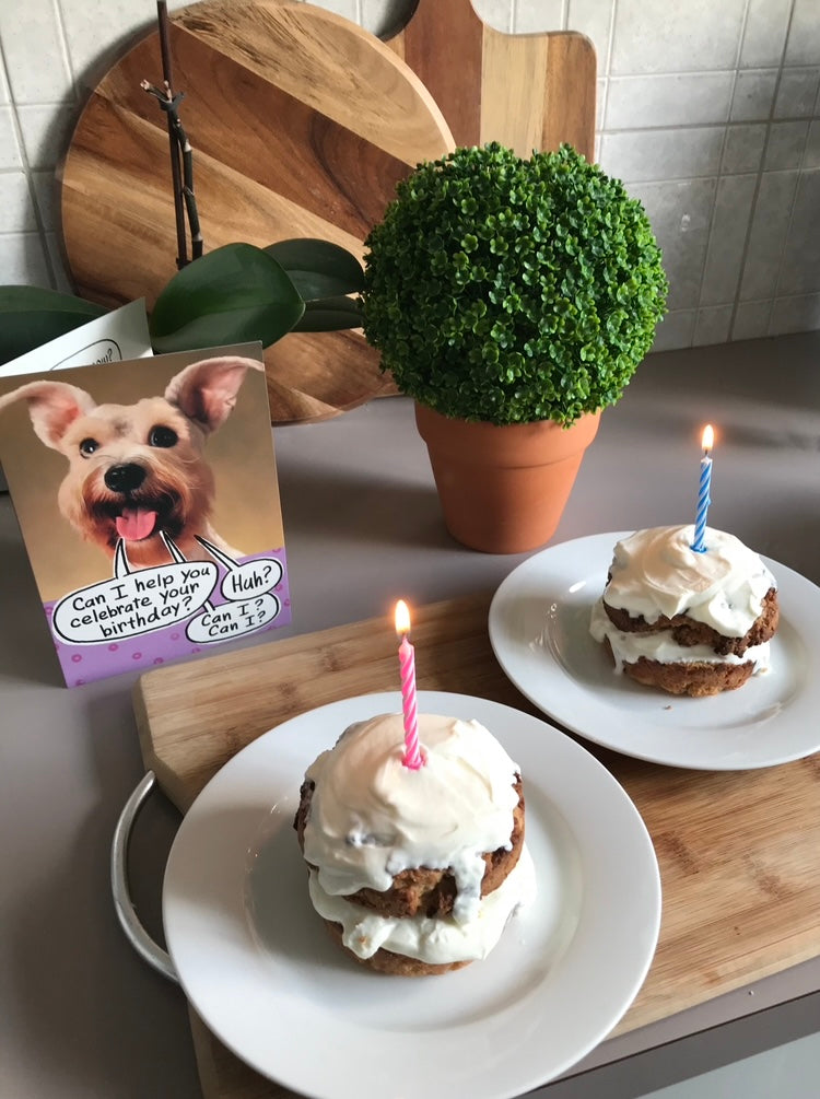 Best Birthday Dog Cake