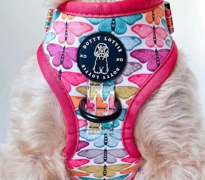 Designer dog harness for small dogs, featuring colourful butterflies