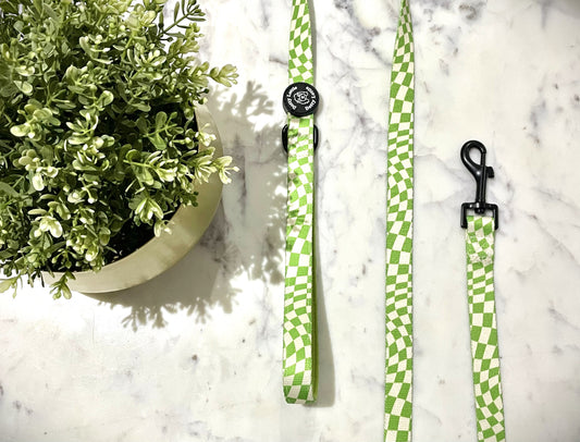 Lime Soda Dog Leash