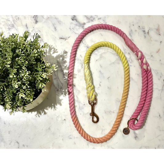 Rhubarb and Custard Rope Leash