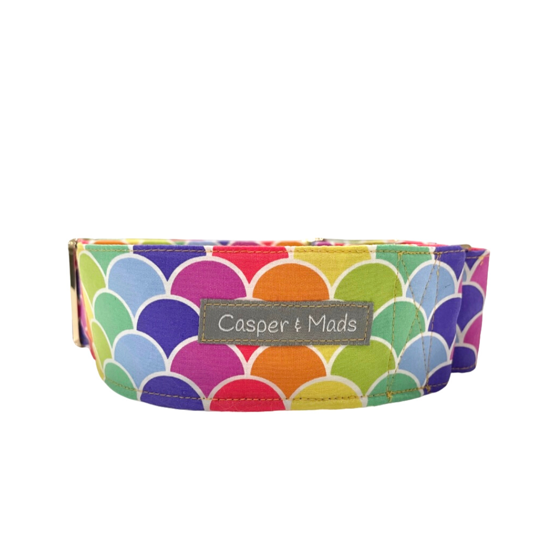 5cm Martingale Collar, Whippet Collar, Greyhound Collar, Pet Store Near Me, Casper and Mads