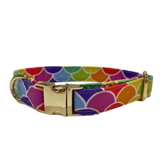 Dog collars cheap near me