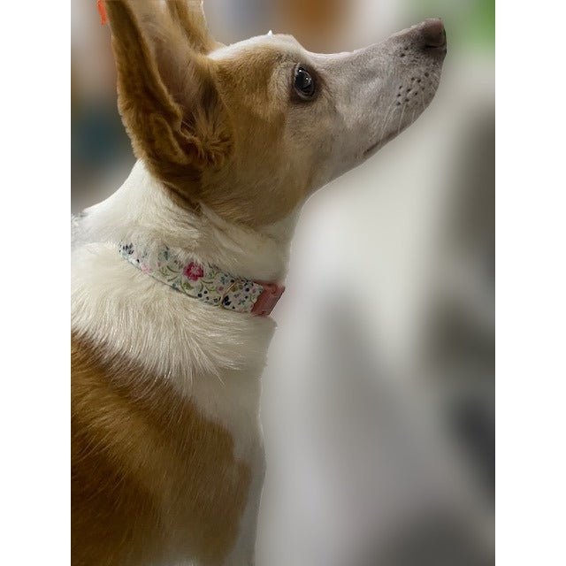 Floral Pink Dog Collar - info-0712