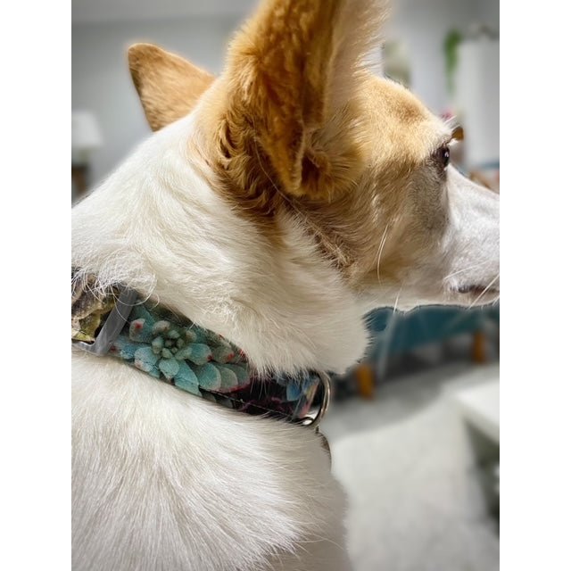 Garden Life Dog Collar - info-0712