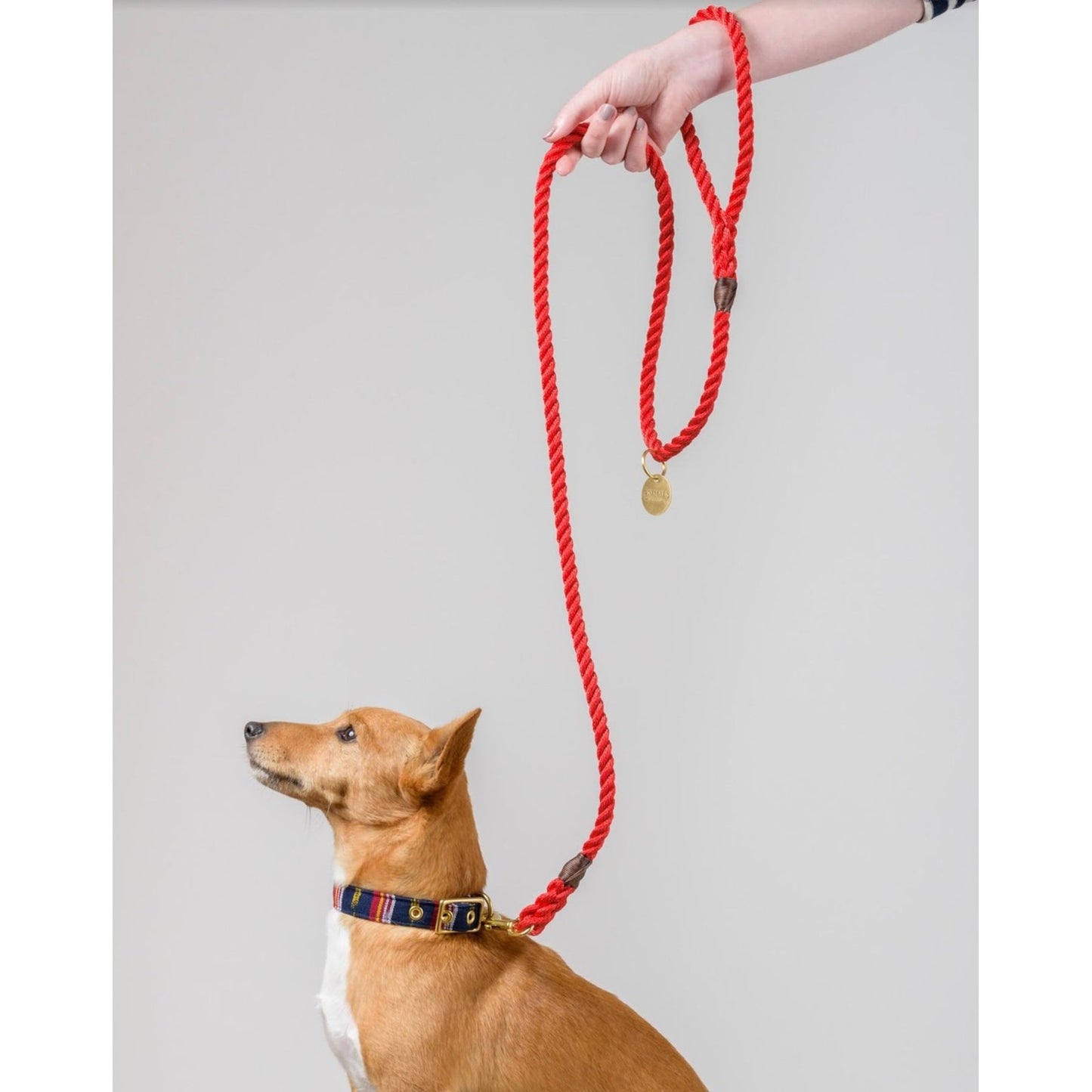 Rope Lead: Red - info-0712