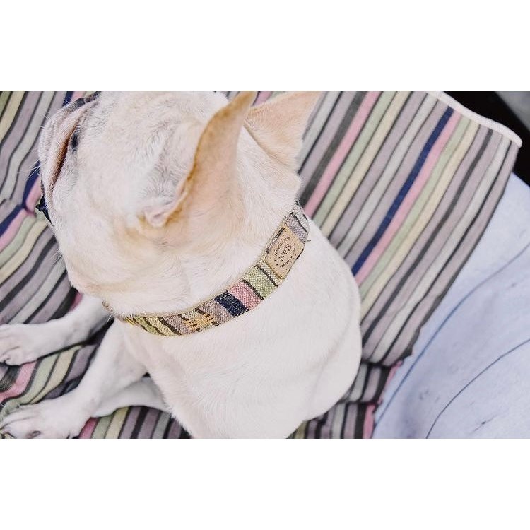 Mocha Pastel Stripe Dog Collar - info-0712