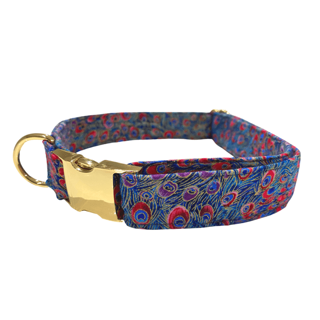 Peacock Blue Dog Collar with Gold Hardware - info-0712